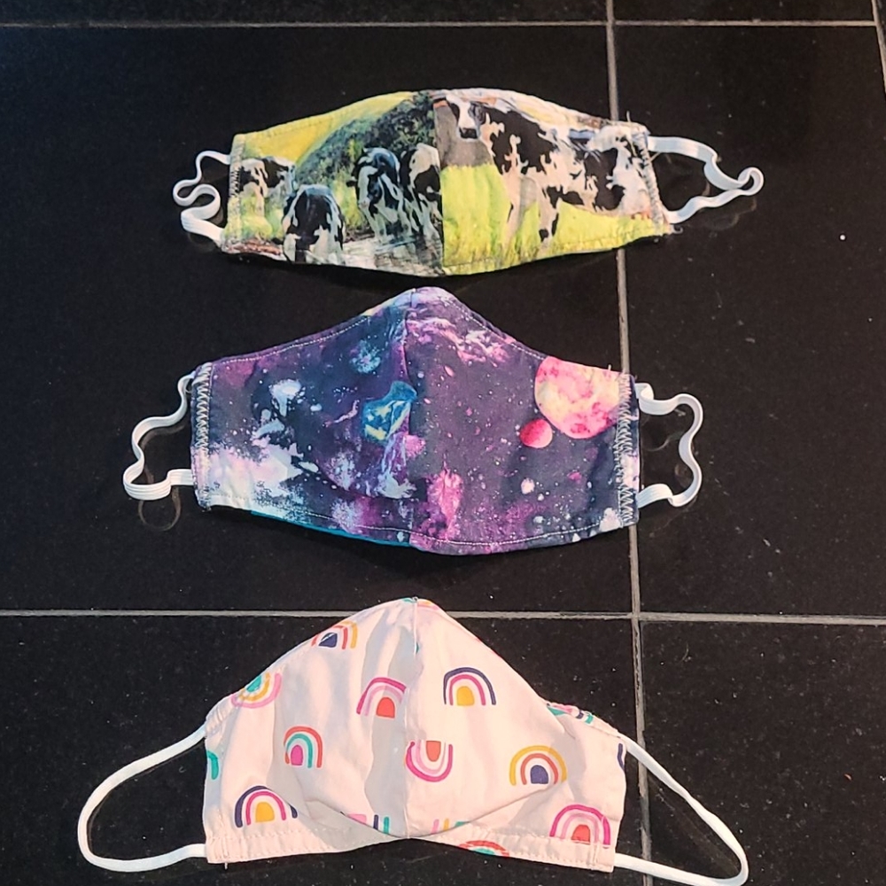 Lot of 3 resersable face masks